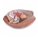 Coco Kabuk Sepeti 18-20 cm Arası