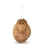 Coconat Maymun Büstü Model 1