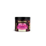 Coconut & Shea Butter Vazelin 500Ml