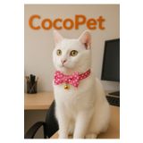 Cocopet Papyonlu Kedi Boyun Tasması Pembe Puantiyeli fiyonk kedi tasması