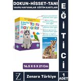 Çocuk Eğitici Görsel Algı Koordinasyon Eğlenceli Dokun-Hisset-Tanı Eğitim Kartları Yavru Hayvanlar - 1