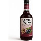 Coffee Freddo Böğürtlen Kahve Şurubu, Kahve Şurupları, Yeni Yüksek Aromalı, Kahve ve Kokteyl Şurubu - 750 ml