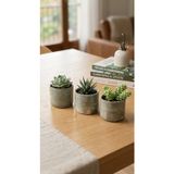 Cogo Seramik Cogoceramic Bohem 3’lü El Yapımı Seramik Mini Saksı Seti - Sukulent & Kaktüs Düzenleyici (8x7 cm)