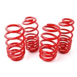 Coil-Ex Renault Megane 2 2002-2009 Arası 45/45 mm Spor Yay