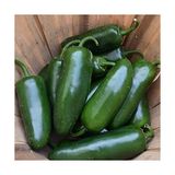 Çok Acı Jalapeno Biber Tohumu (20ADET)
