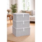 Çok Amaçlı Düzenleyici Kapaklı Sandık Tipi Kutu Hurç Organizer 3 Lü Set (Gri, Maxi 50 x 40 x - Çok Renkli