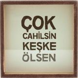 Çok Cahilsin Keşke Ölsen Ahşap ve Cam Tasarımlı Kumbara