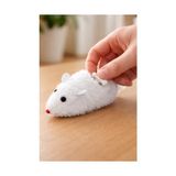 Çok Renkli Kurmalı Fare Kedi Oyuncağı Pilsiz Hareketli Peluş Fare Interaktif Av Oyunu Kediler ve Yavru Kediler Için Egzersiz Aktivite Ev Içi Oyun Eğlence Dayanıklı Yumuşak Doku - 01-Mavi