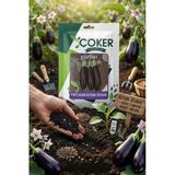 Çoker Aydın Siyah Patlıcan Tohumu 25 Gr