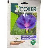 Çoker Sarmaşık Çiçeği Tohumu
