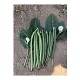Çoker Tohumculuk Çoker Karagöz 86 (oturak) Börülce Tohumu 1 Kg