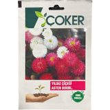 Çoker Yıldız Çiçeği Tohumu