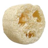 COKLEAS Mutfak & Banyo için Doğal Kokusuz Çekirdeksiz Yıkanmış Ham Kabak Lifi Doğal Kese 1 Adet