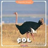 Çöl Hayvanlar Dünyası Kolektif