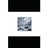 Cold Revival: The Icy Origins of Healing and the Forgotten Art of Thermal Medicine: explores the ancient and modern power of cold to heal the body ... Medicine: Holistic Wellness, Band 5)