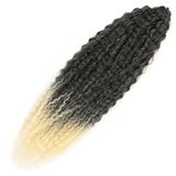 Colezium Brazilian Afro Dalgası / Siyah / Platin Ombreli