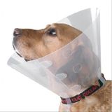 Colezium Kedi Köpek Yakalığı Small 12,5cm Ø/ 28-33CM