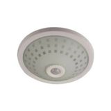 Colezium Nisaluce E-2002 Tan Armatür ( Camlı Kafes ) ( 360° Hareket Sensörlü=5mt Aı ) (2 Adet E27 Ampul Duylu )*12