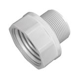 Colezium Özel Depo Rekoru 1 Inch - 1 Adet