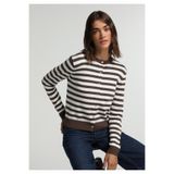 Colin's Slim Fit Yuvarlak Yaka Çizgili Kadın Kahverengi Hırka