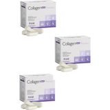 Collagen Forte Platinum Tip 1,2,3,5 ve Tip 10 Kolajen, Hyalüronik Asit, Çinko, Selenyum & Vitamin C, 90 Tablet 3 Adet