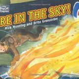 Collins Big Cat Progress - Fire in the Sky: Band 4 Blue/Band 17 Diamond by Manning, Mick, Granstr?m, Brita (2012) Paperback