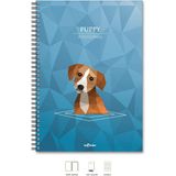 Color A4 Defter Çizgili 200 Syf Köpek Polygonal