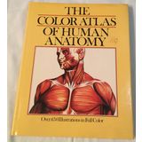 Color Atlas of Human Anatomy