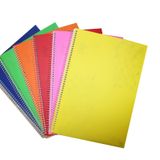 Color Liva A5 PP 6'lı 72 Yaprak Kareli Kapak Spiralli Defter