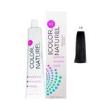 Color Naturel 100 ml 1.0 Siyah Kalıcı Saç Boyası