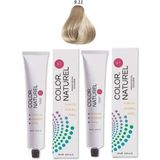 Color Naturel 9.11 Yoğun Küllü Sarı 2x100 ml Saç Boyası