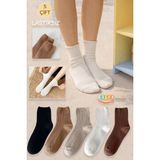Color Socks 5 Çift Lastiksiz Mevsimlik Kadın Çorap Seti (Extra Soft) - Çok Renkli