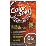 Color Soin 6G Koyu Kestane Organik Saç Boyası