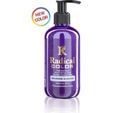Color Su Bazlı Saç Boyası 250 ml Blueberry - yabanmersini
