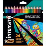 Color Up Üçgen Kuru Boya Kalemi, 24'lü Kutu