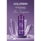Colorinn Stardust Professional Silver Mor Şampuan 1000 ml