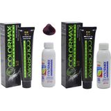 Colormax 44.25 Kızıl Rüya + Oksidan Krem 90 ml 2'li