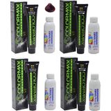 Colormax 5.62 Açık Kestane Kızıl Irisi - Oksidan Krem 90 ml 4'lü