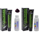 Colormax 55.64 Aşk Kızılı + Oksidan Krem 90 ml 2'li