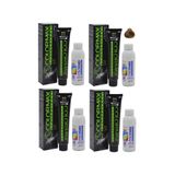 Colormax 8.3 Açık Kumral Dore Saç Boyası + 4x90 ml Oksidan Krem