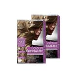 Colour Specialist Saç Boyası 8.1 Küllü Açık Kumral, 2'li Set