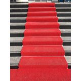 COLOURMAT Kaydırmaz Kaymaz Yolluk Karmaşık Halı Kıvırcık Paspas 1m X 5m (KIRMIZI)