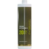 Colours Organic Colour Systems 20 Volüm Aktivatör Oksidan %6 No:1 1000 ml Amonyaklı Saç Boyası İçin