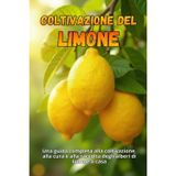Coltivazione del limone: Una guida completa alla coltivazione, alla cura e alla raccolta degli alberi di limone a casa