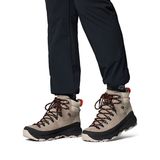 Columbia BM9278 NEWTON ALPINE PT Gri Erkek Outdoor Bot