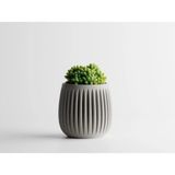 Columna Dekoratif Saksı - Bej Çizgili Modern Bitki Saksısı 12 cm - 120x120x120mm