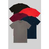 COMBİNE MİCHAİL Erkek %100 Pamuk Standart Kalıp 5-Li T-shirt Siyah-Kirmizi-Bordo-Lacivert-Fume