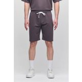 COMBİNE MİCHAİL Erkek Comfort Fit Füme Şort & Bermuda