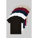 COMBİNE MİCHAİL Erkek Siyah Beyaz Bordo Gri Lacivert %100 Pamuklu 5 Li T-shirt Paketi