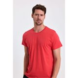 COMBİNE MİCHAİL Erkek Yavru Ağzı %100 Pamuk Slim Fit Bisiklet Yaka Basic Tişört